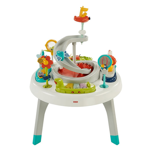 immagine-1-centro-attivita-fisher-price-2-in-1-cresci-con-me-ean-887961775198