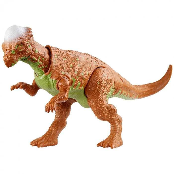 immagine-1-dinosauro-mattel-jurassic-world-attacco-selvaggio-pachycephlosaurus-ean-0887961825725