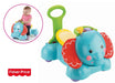 immagine-1-fisher-price-elefante-rimbalzante-3-in-1-fisher-price-cbn62-ean-887961029260