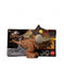 immagine-1-mattel-jurassic-world-snap-squad-carnotaurus-camp-cretaceous-ean-194735004355