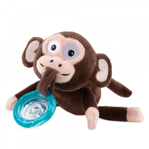 immagine-1-peluche-portaciuccio-con-succhietto-nuby-natural-flex-scimmia-blu-ean-048526058532