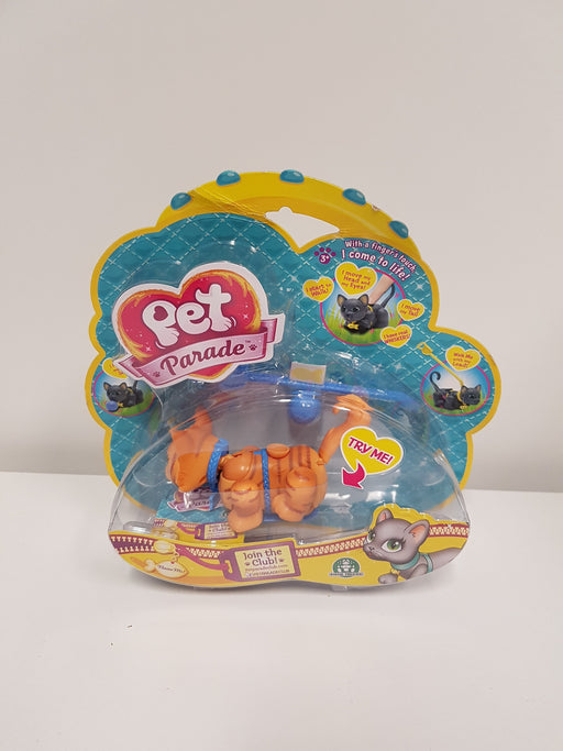 immagine-1-pet-parade-gattino-marrone-con-strisce-e-con-collare-blu