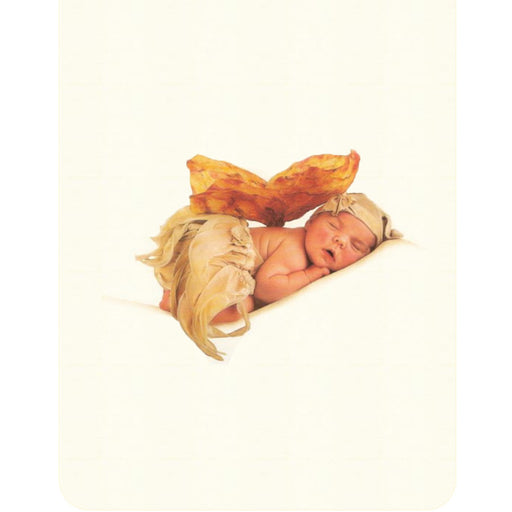 immagine-1-trapuntina-sfilabile-culla-anne-geddes-fairies-ean-8300160621001