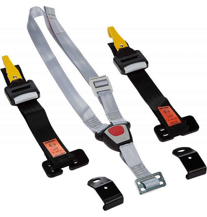 immagine-2-cam-cam-kit-sicurezza-auto-per-carrozzina-v495-ean-8005549495012