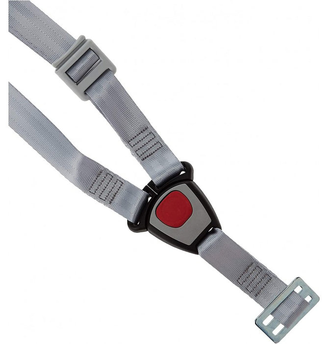 immagine-3-cam-cam-kit-sicurezza-auto-per-carrozzina-v495-ean-8005549495012