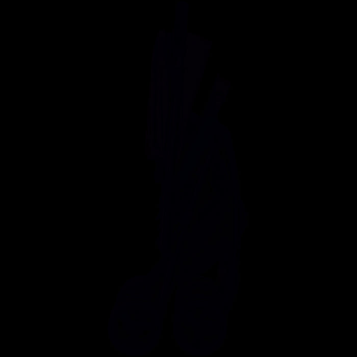 immagine-5-joie-joie-passeggino-reversibile-mirus-ember-ean-5056080610702