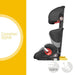 immagine-6-beacutebeacute-confort-rodi-xp-fix-seggiolino-auto-15-36-kg-isofix-gruppo-23-per-bambini-dai-3.5-ai-12-anni-leggero-e-facile-da-installare-grigio-dawn-grey-ean-8712930130536